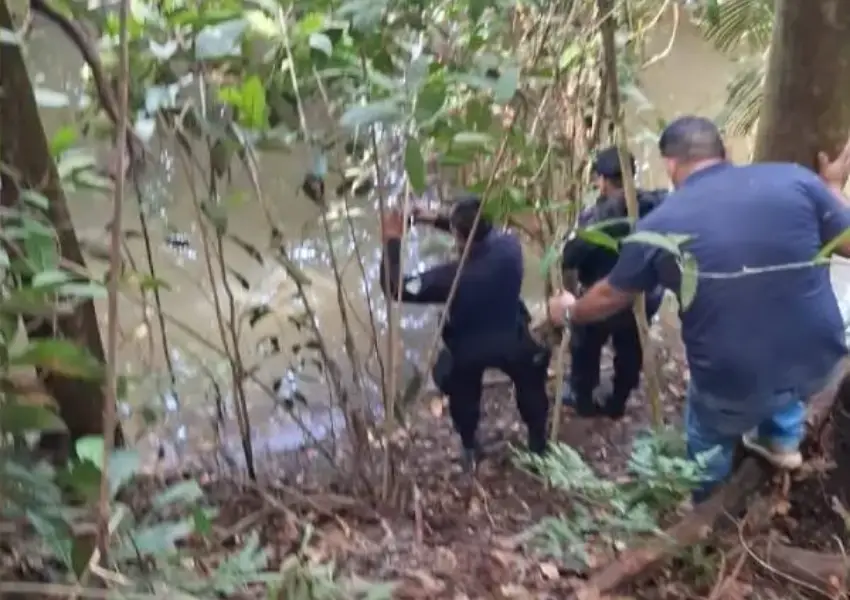 Homens desaparecidos são encontrados mortos em matagal na zona rural de Porto Velho