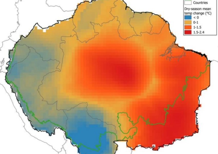Amazônia em alerta: desmatamento e mudanças climáticas ameaçam o futuro da floresta