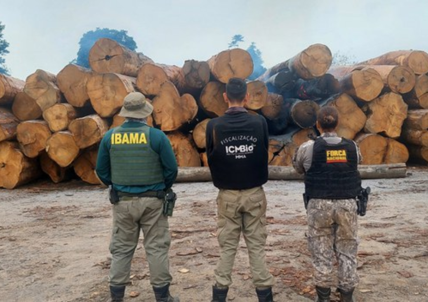 Operação do Ibama apreende madeira ilegal na região amazônica de Mato Grosso