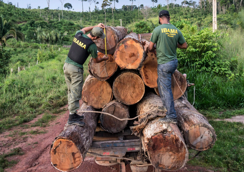 Desmatamento ilegal: desafios da fiscalização na Amazônia