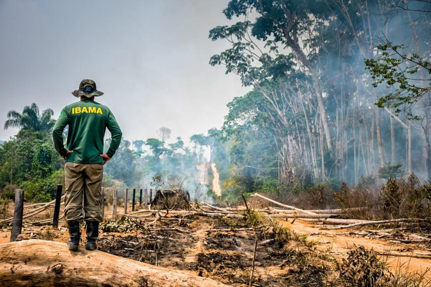 Fiscalização ambiental é reforçada em áreas críticas da Amazônia