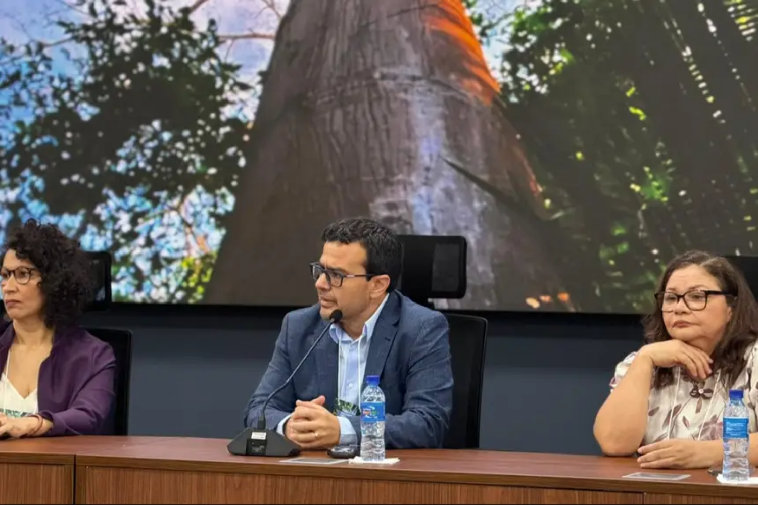 Pará avança em protocolo para monitorar recomposição da vegetação nativa e reforça regularização ambiental na Amazônia