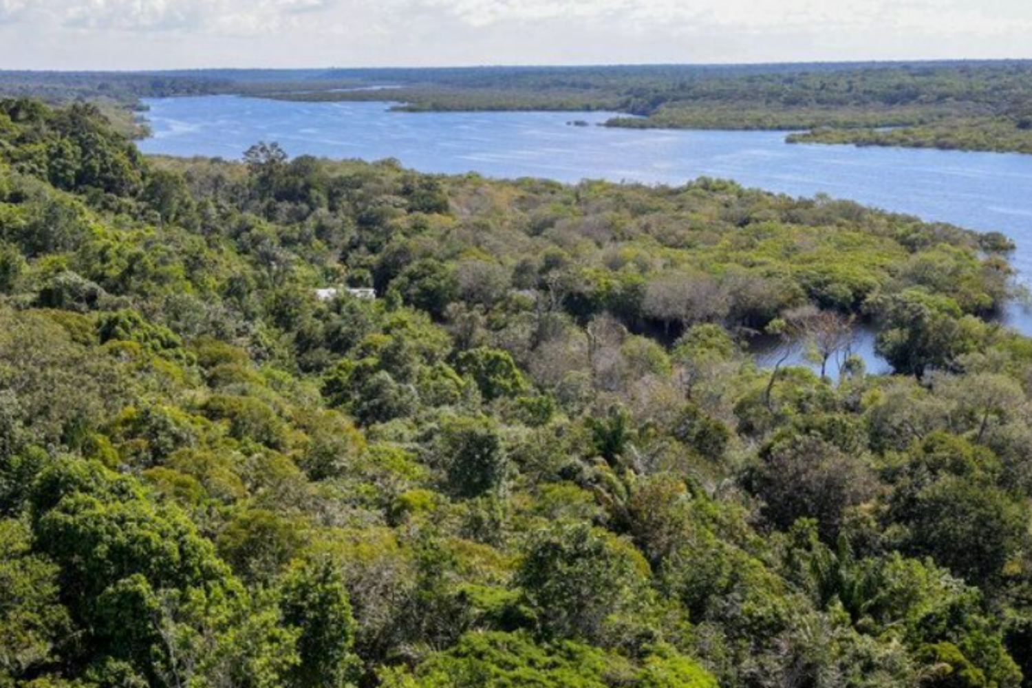 Capacidade de recuperação da Amazônia é limitada e depende do entorno da floresta, revela estudo