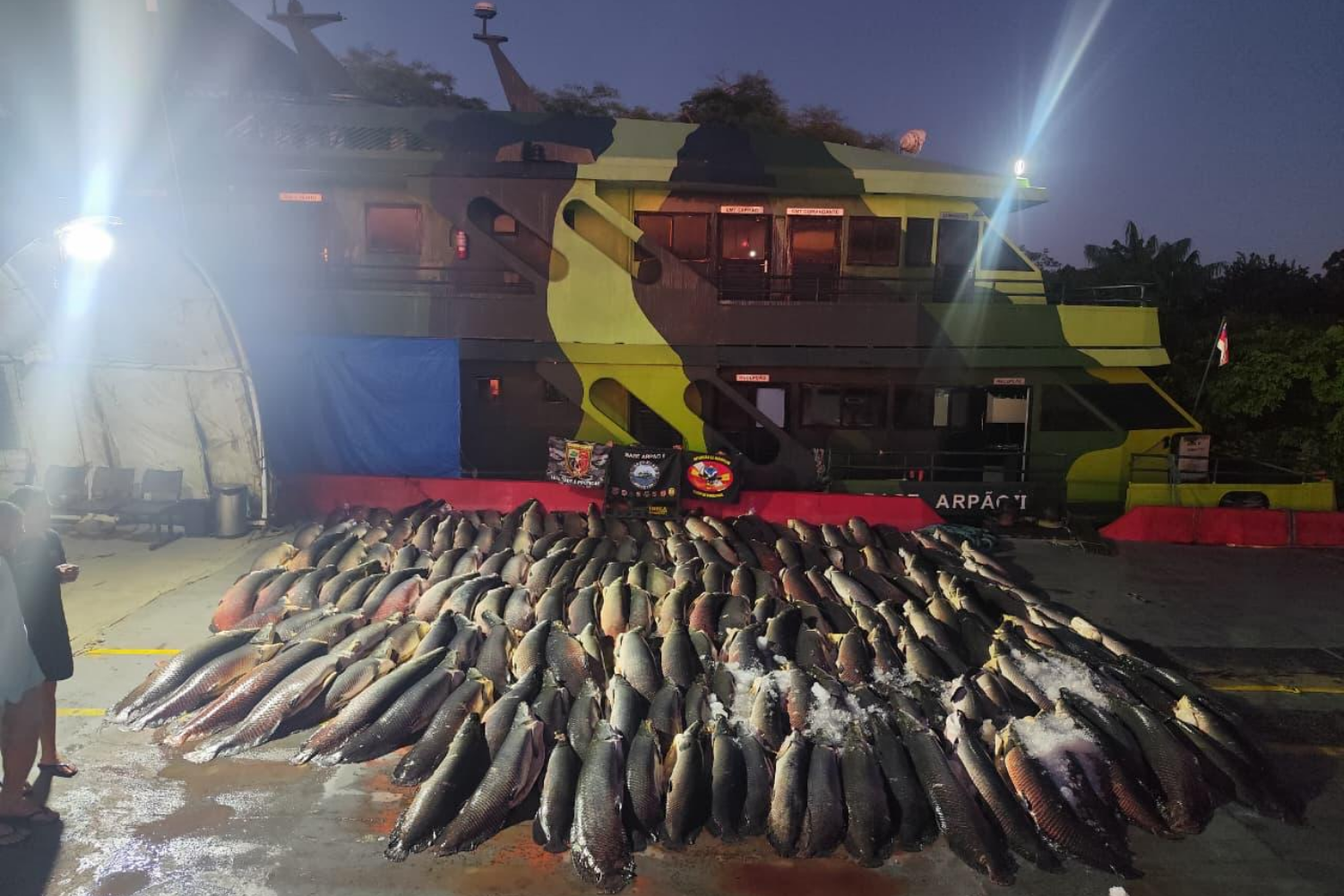 Base Arpão 2 apreende 26 toneladas de pescado ilegal em uma das maiores ações fluviais do ano no Amazonas